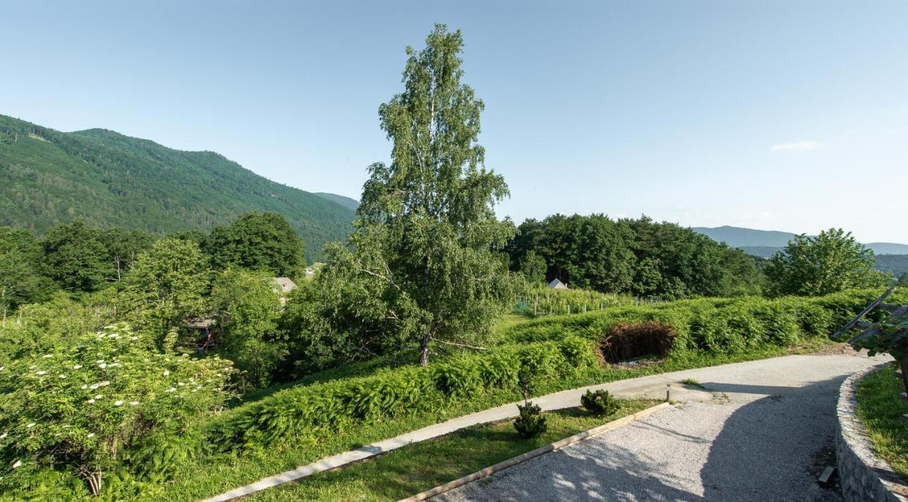 Апартаменты Zidan'Ca Rosel Доленьске-Топлице Экстерьер фото