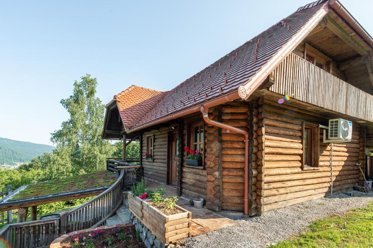 Апартаменты Zidan'Ca Rosel Доленьске-Топлице Экстерьер фото