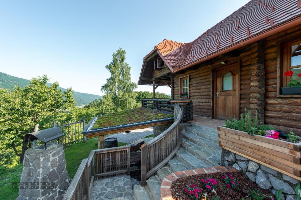 Апартаменты Zidan'Ca Rosel Доленьске-Топлице Экстерьер фото